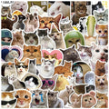 Kawaii Cat Stickers – Cute PVC Decals for Kids, Scrapbooking & School Supplies (10/30/50 Pack)