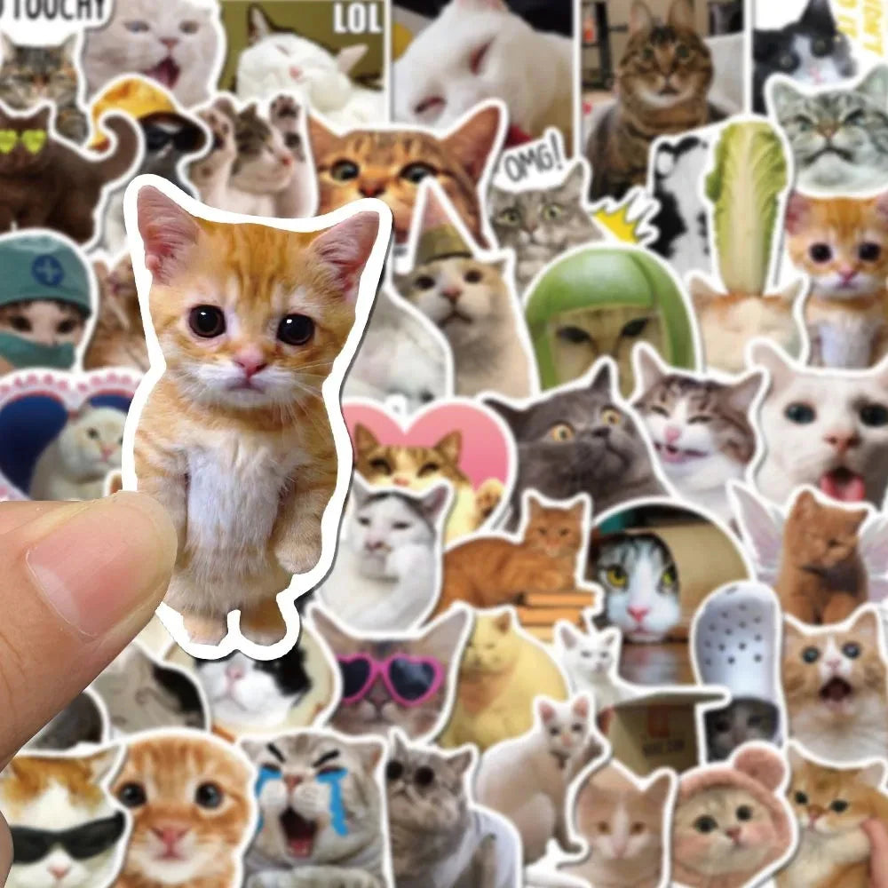 Kawaii Cat Stickers – Cute PVC Decals for Kids, Scrapbooking & School Supplies (10/30/50 Pack)